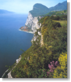 zur Gardasee Foto-Galerie ...