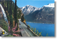 zur Gardasee Foto-Galerie ...