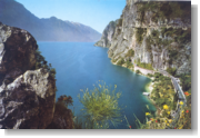 zur Gardasee Foto-Galerie ...